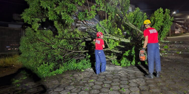 Bombeiros atuam na remoção de árvore caída após temporal no bairro Bela Vista, em Formiga