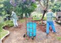 Prefeitura inicia trabalhos de limpeza e manutenção no Cemitério Parque da Saudade