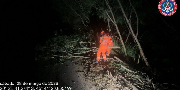 Bombeiros desobstruem rodovia MG-170 após queda de árvore em Pains