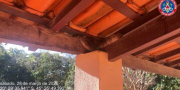 Bombeiros de Formiga capturam jiboia de um metro em varanda de residência