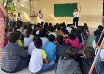 Rascunho automático