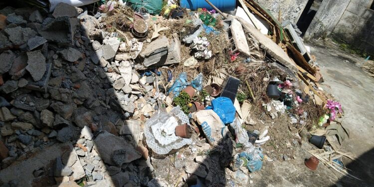 Formiga: moradora faz imagens do interior do Cemitério do Santíssimo