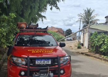 Poste quebra na base e cai sobre telhado de residência em Campo Belo