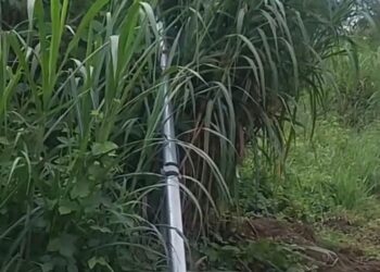 Motorista danifica radar de velocidade na BR-354, em Arcos, e polícia faz rastreamento para identificar suspeito