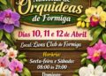 20ª Exposição Nacional de Orquídeas de Formiga será realizada em abril