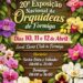 20ª Exposição Nacional de Orquídeas de Formiga será realizada em abril
