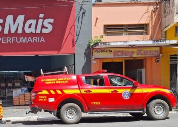 Cão ferido é resgatado pelos bombeiros em estabelecimento comercial no Centro de Formiga com apoio de funcionária