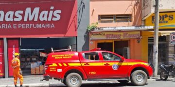 Cão ferido é resgatado pelos bombeiros em estabelecimento comercial no Centro de Formiga com apoio de funcionária