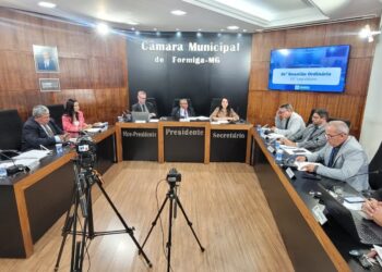 Câmara de Formiga aprova projetos voltados à inclusão, saúde mental e valorização das mulheres