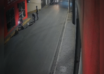 Graças a intervenção da PM, cachorro desaparecido é resgatado em Formiga