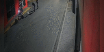 Graças a intervenção da PM, cachorro desaparecido é resgatado em Formiga