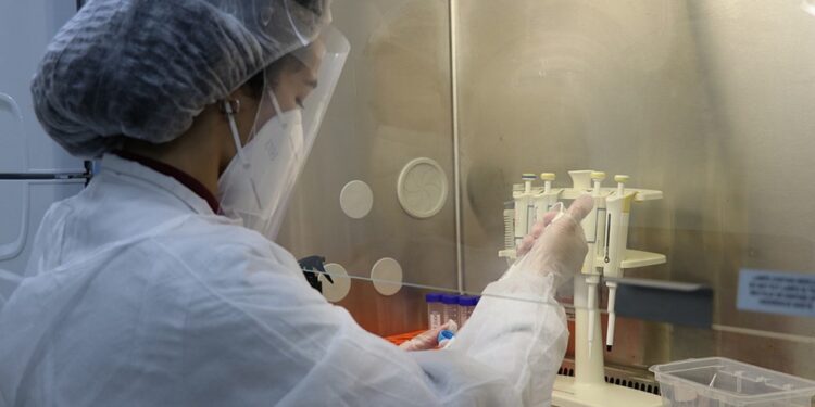 Laboratório da Ufla é habilitado para realizar exames de arboviroses