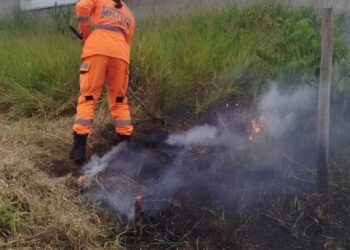 Incêndio em lote vago mobiliza Corpo de Bombeiros no bairro Dom Couto, em Formiga