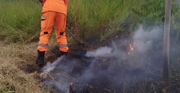 Incêndio em lote vago mobiliza Corpo de Bombeiros no bairro Dom Couto, em Formiga