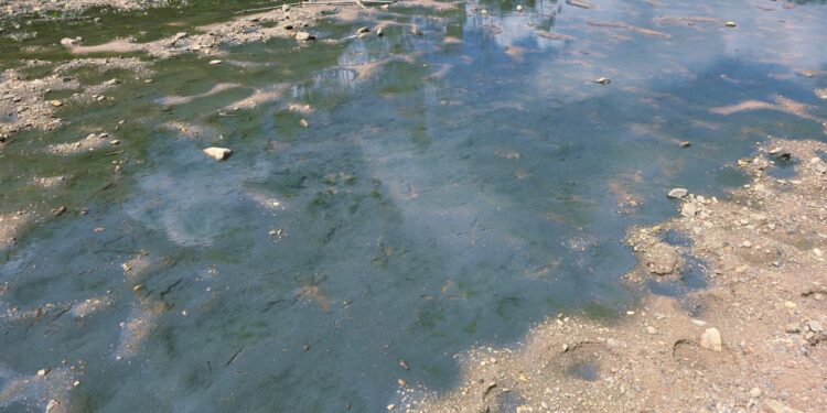 Secretaria de Meio Ambiente de Arcos aciona fiscalização e empresa é autuada por poluição ambiental