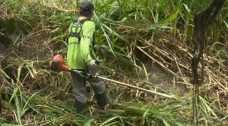 Diversos pontos de Formiga recebem serviços de capina e limpeza geral