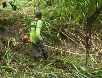 Diversos pontos de Formiga recebem serviços de capina e limpeza geral