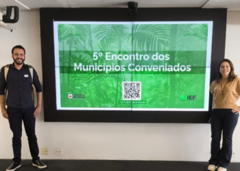 Secretaria de Meio Ambiente de Pains reforça alinhamento técnico e segurança nos processos ambientais