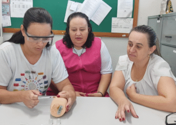 Profissionais de Córrego Fundo participam de capacitação sobre vacina BCG e replicam conhecimento no município