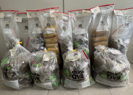 Meia tonelada de entorpecentes é incinerada em Divinópolis