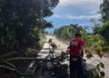 Chuva e ventos fortes causam queda de galhos na estrada entre Santo Antônio do Amparo e Bom Sucesso