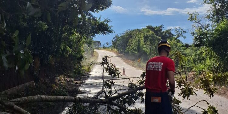Chuva e ventos fortes causam queda de galhos na estrada entre Santo Antônio do Amparo e Bom Sucesso