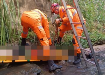 Jovem fica ferida após perder o equilíbrio e cair de 3 metros ao tentar salvar gato em Formiga