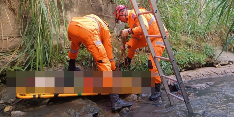 Jovem fica ferida após perder o equilíbrio e cair de 3 metros ao tentar salvar gato em Formiga