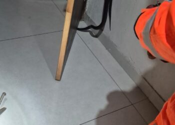 Cobra é encontrada dentro de quarto no bairro Dom Couto em Formiga