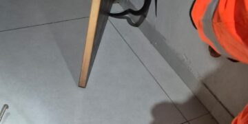 Cobra é encontrada dentro de quarto no bairro Dom Couto em Formiga