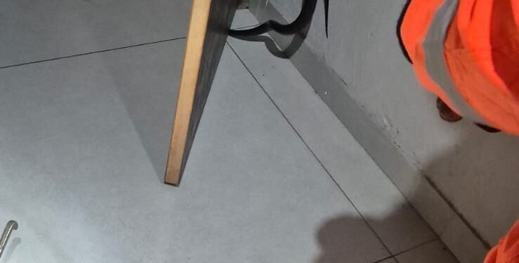Cobra é encontrada dentro de quarto no bairro Dom Couto em Formiga
