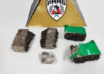 Operação contra o tráfico de drogas termina com menor apreendido e mulher presa em Formiga