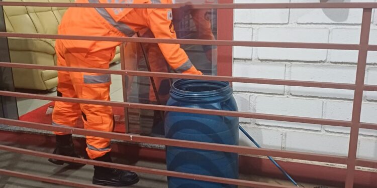 Formiga: jararaca é capturada em estabelecimento comercial no bairro Maringá