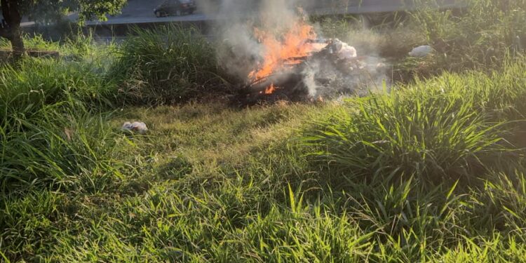 Incêndio em amontoado de lixo é controlado pelos bombeiros às margens da MG-050 em Formiga