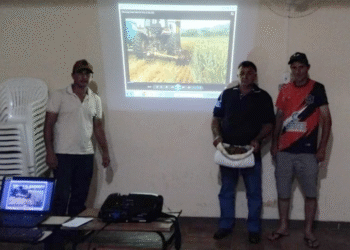 Córrego Fundo: Emater promove bate papo sobre trigo silageiro