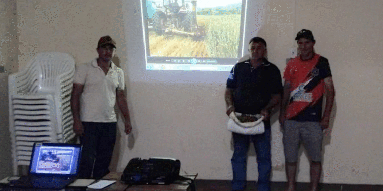 Córrego Fundo: Emater promove bate papo sobre trigo silageiro