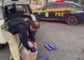 Casal é preso com 35 kg de maconha em carro com criança de 3 anos na BR-262 em Nova Serrana