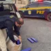Casal é preso com 35 kg de maconha em carro com criança de 3 anos na BR-262 em Nova Serrana